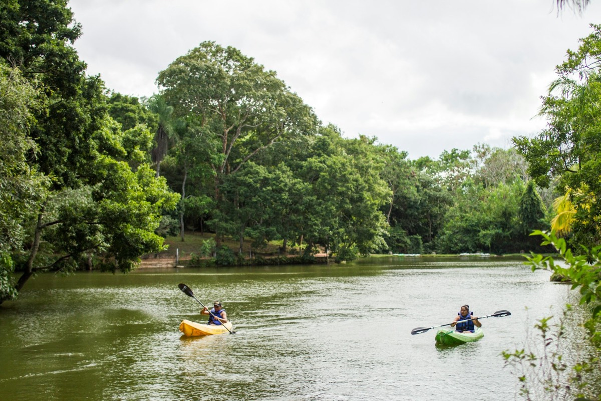 Rent a kayak in Key Largo at Harry Harris Park
